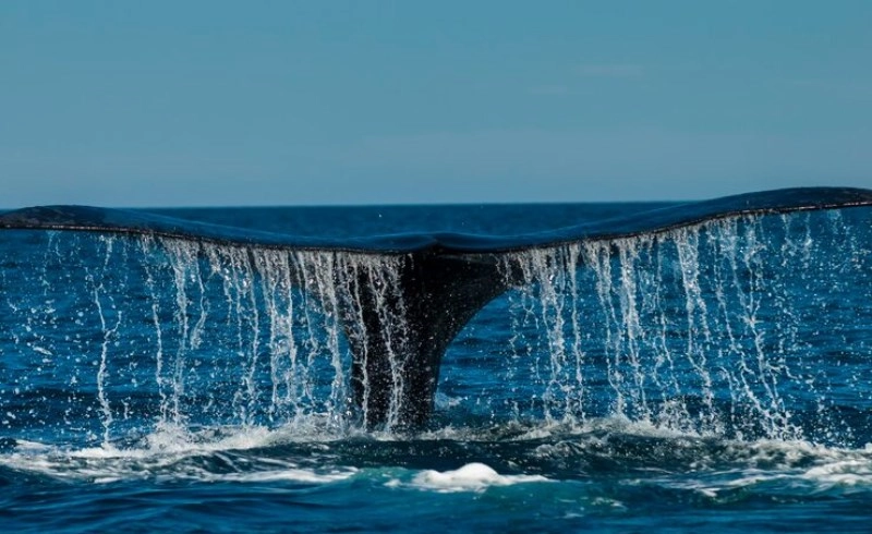 임자일주를 위한 행운의 요소와 개운법(開運法)