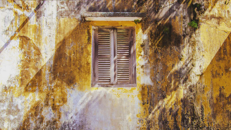 사주 암록 기운을 활성화하는 행운의 장신구 위치 비결 3 up of a hand wearing a ring - 반지를 낀 손의 클로즈업