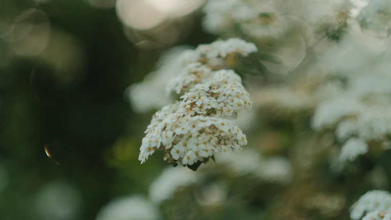 up of hands crafting pottery - 도자기를 만드는 섬세한 손