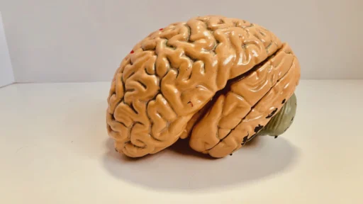 사주 식신, 하나도 없을 때 창의력을 억지로 높이는 법, 무식상 사주 개운법 총정리 15