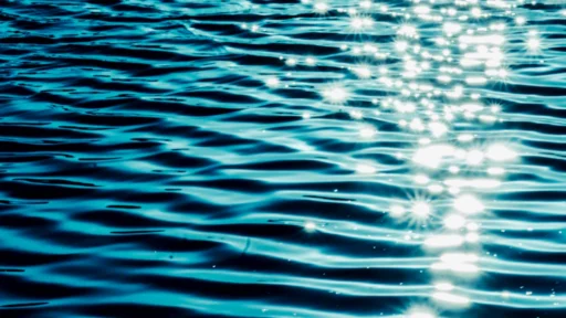 만세력 지지에 해수, 타고난 정보 탐색가의 깊은 통찰력과 잠재력 3