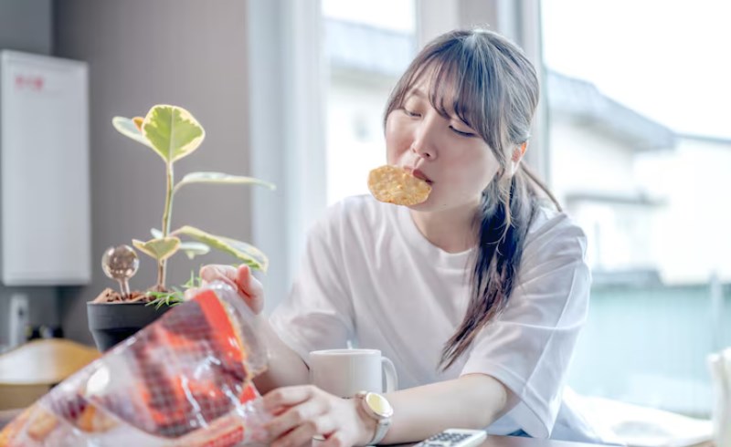 계절별 다이어트 성공률 변화