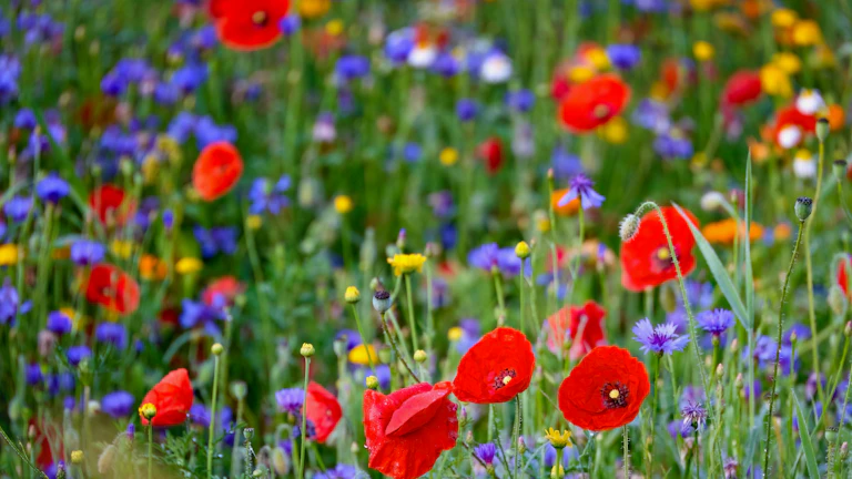 다양한 사람들이 네트워킹하는 모습