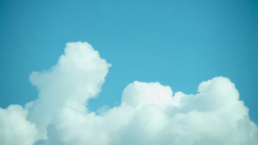 무진일주 2026년 재물운 상승 비결과 사업운 (2026년) 1