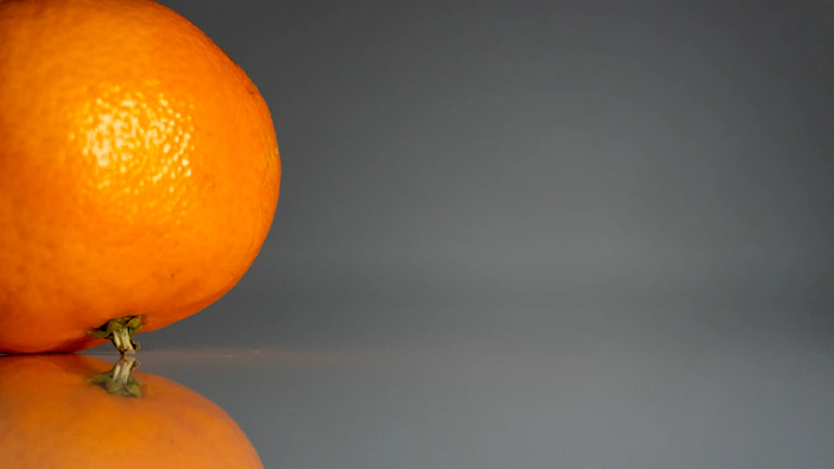 신선한 시트러스 과일들