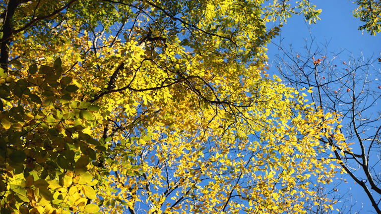 무일푼에서 자산가로 성장하는 이미지