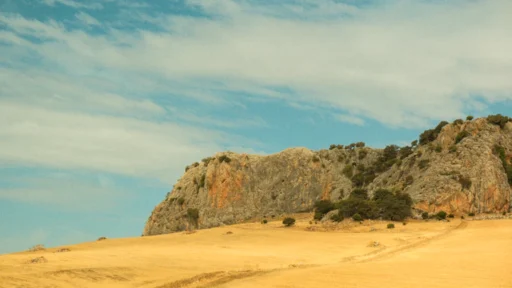사주 토 부족, 부동산 복을 끌어올리는 풍수 인테리어와 개운법 비결 총정리 1