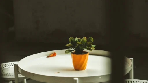 사주 나에게 맞는 행운의 꽃, 사무실 책상 식물 배치로 운을 부르는 비법 35