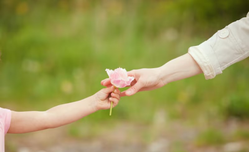 어머니와 아이의 손이 마주 잡고 있는 이미지