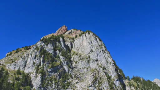 시상일위편관격 특징 및 말년에 권력을 쥐고 대기만성하는 사주 풀이 (2026년) 1