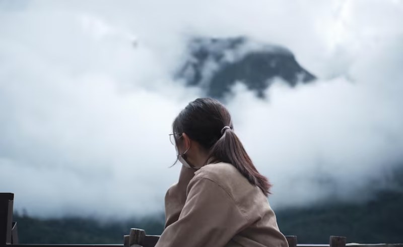 안개 낀 숲속에서 길을 잃은 듯한 몽환적이고 무거운 분위기의 이미지