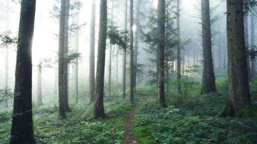 사주 귀문관살, 남다른 직관력으로 활용하는 전문가 비책 총정리 1