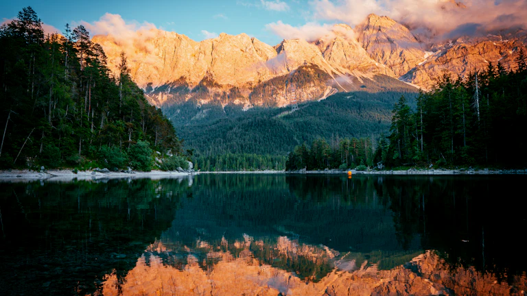 평화로운 자연 풍경