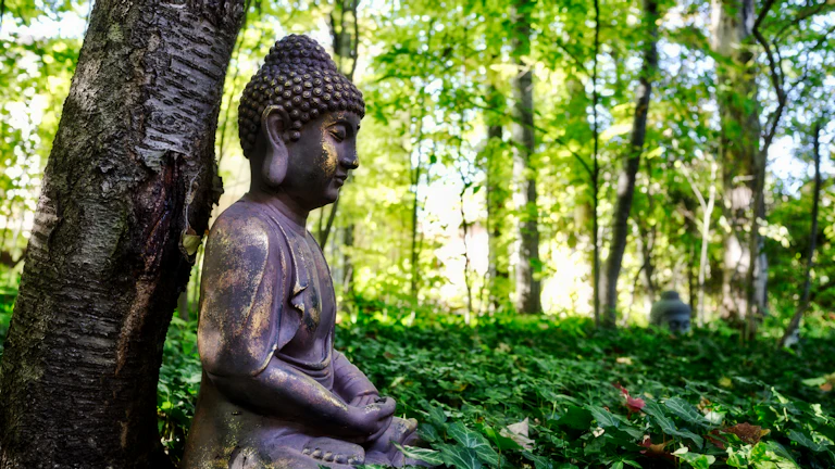 평온한 자연 속에서 명상하며 기운을 정화하는 모습