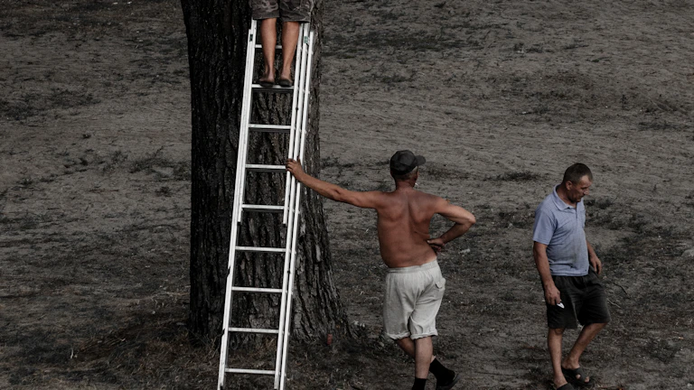 커리어 사다리를 쌓아 올리는 사람