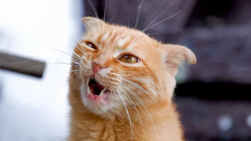 사주 빚 청산하고 평생 돈에 시달리는 악순환에서 벗어나는 개운 비결 5