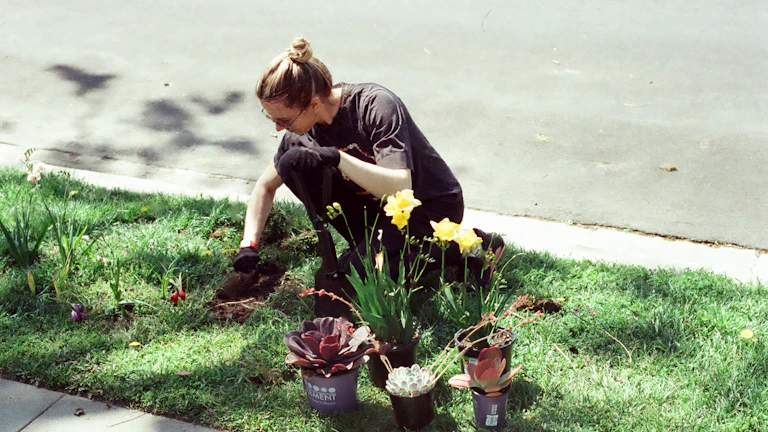 씨앗을 심는 사람