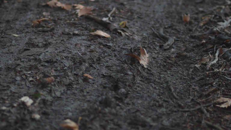 흙길을 맨발로 걷는 사람의 발