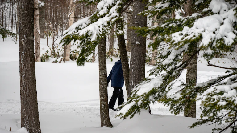 숲길을 산책하며 기운을 정화하는 사람