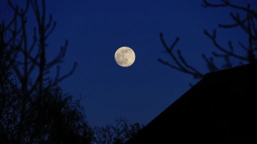 사주 귀인 찾는 법, 내 인생을 바꿔줄 운명의 띠 확인하기 5