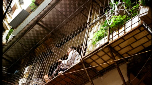 사주 격국이 파격일 때, 대운을 현명하게 잡고 평범하지만 행복하게 사는 비결 3