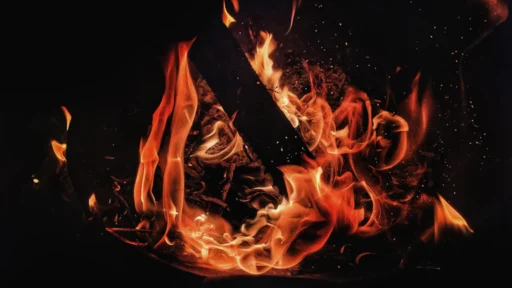 2026년 자오충 개운법으로 재물운 올리는 비법 2026년 1