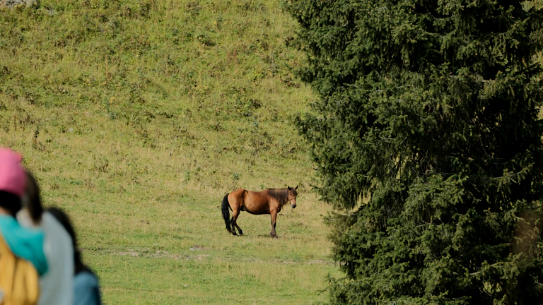 일주론, 2026년 재물운, 돈 복 깨우는 개운법, 병오년 대박 나는 사주 총정리 1 2026년 병오년의 강렬한 에너지를 상징하는 붉은 말의 질주