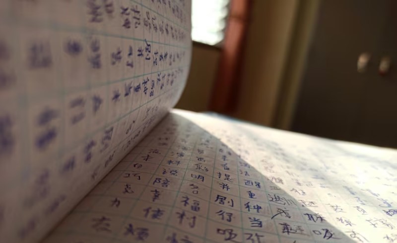 사주 팔자 명리학 차트