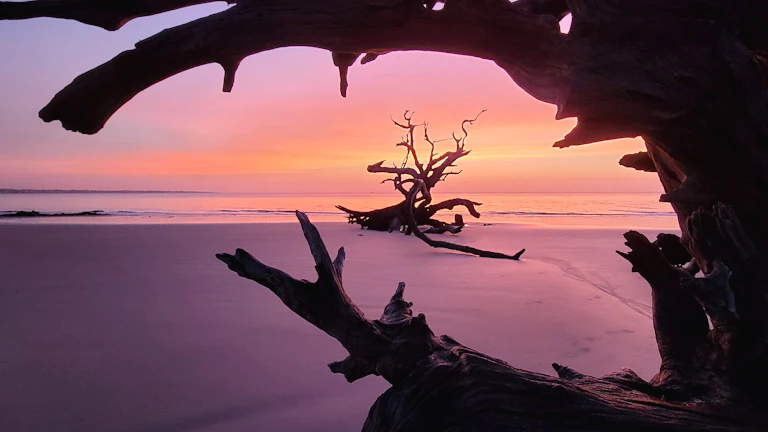 시상일위편재격 특징과 말년에 벼락부자 되는 사주 구조와 재물운 개운법 3 평화로운 대자연과 조화로운 기운