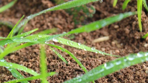 무진일주 여자 2026년 재물운 대폭발 시기 완벽 분석 1