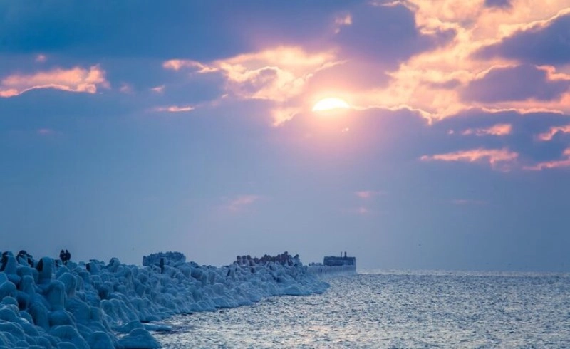 임오일주(壬午日柱)