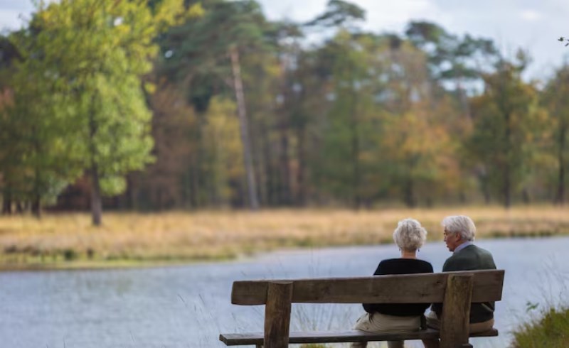 안정적인 노후를 즐기는 노부부의 평화로운 모습
