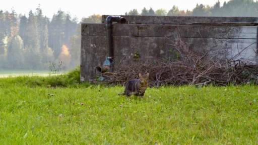 만세력 지지 묘목 두 개, 인간관계에서 주의해야 할 점 완벽 분석 1