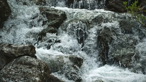 사주 수 부족, 머리카락 빠지는 증상 해결을 위한 실천적 두피 개운법 1