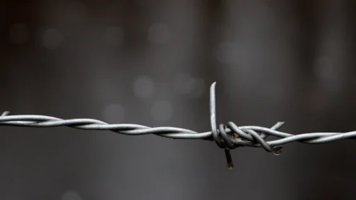 답답한 천라지망 운명에서 벗어나 자유를 찾는 비밀 3