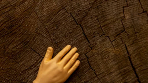 만세력 지지에 유(酉)금이 두 개면 현침살 기운이 강해질까? 7