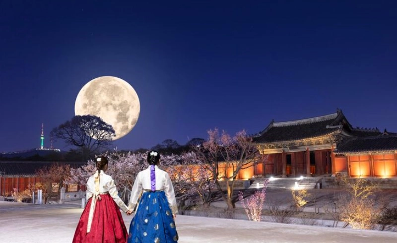 사주 명리학에서 세운(歲運)의 작용 기제와 원국 궁위별 상호작용에 관한 고찰 25