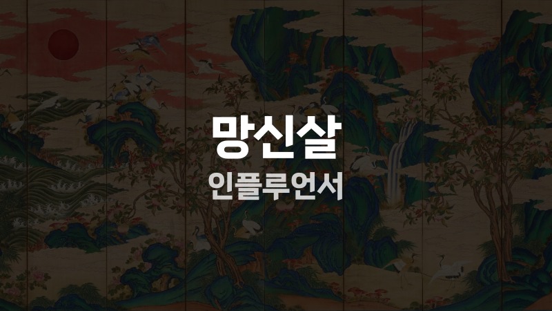 망신살 인플루언서