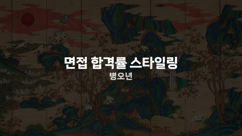 면접 합격률 스타일링 병오년