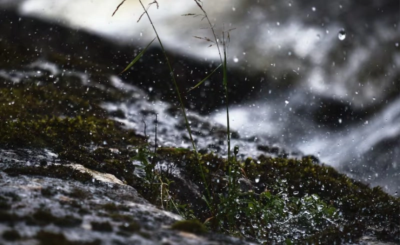 계미일주(癸未日柱)의 명리학적 본질과 현대적 삶의 행로 4 묵묵히 세상을 적시는 지혜의 샘물