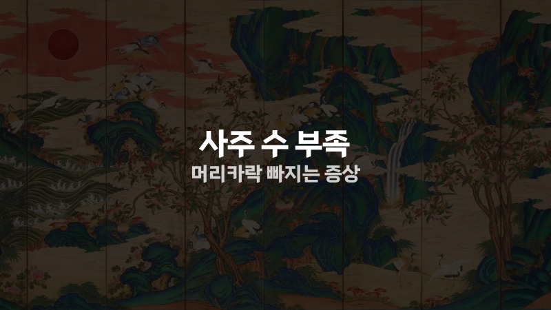 사주 수 부족 머리카락 빠지는 증상