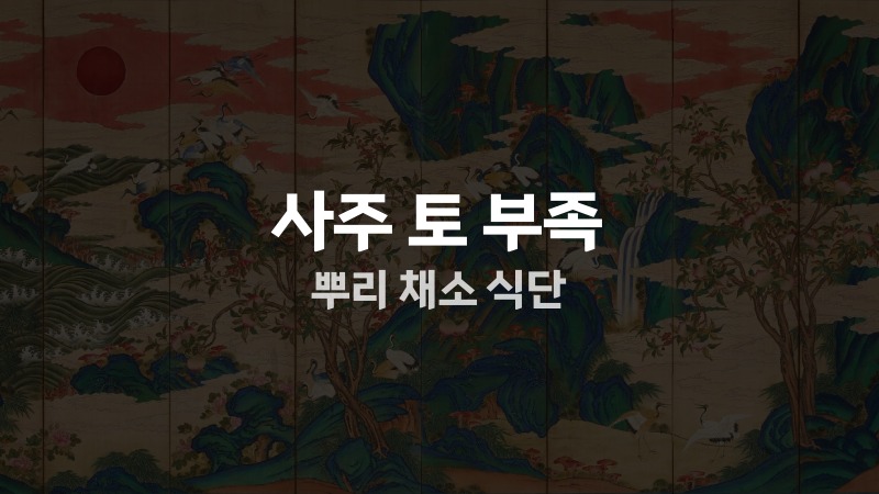 사주 토 부족 뿌리 채소 식단