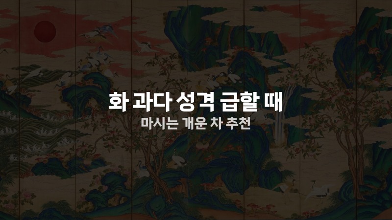 화 과다 성격 급할 때 마시는 개운 차 추천