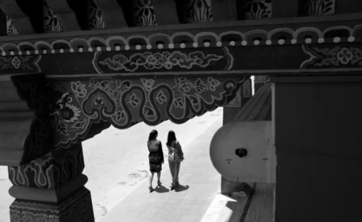 사주 명리에서의 지지 삼합 해체와 대운 충격에 따른 사회적 기반 붕괴의 구조적 분석 1