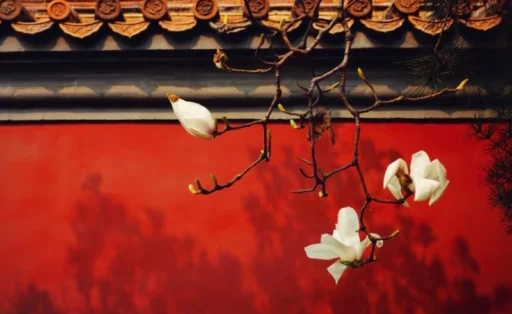 사주풀이도우미 홍염살 작용으로 이성이 꼬이는 이유와 좋은 인연 타이밍 13