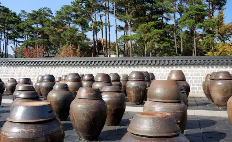 사주 명리학의 입묘(入墓) 현상과 삼합·방합의 상관관계에 관한 연구 : 양간(陽干)과 음간(陰干)의 운동성 차이를 중심으로 13