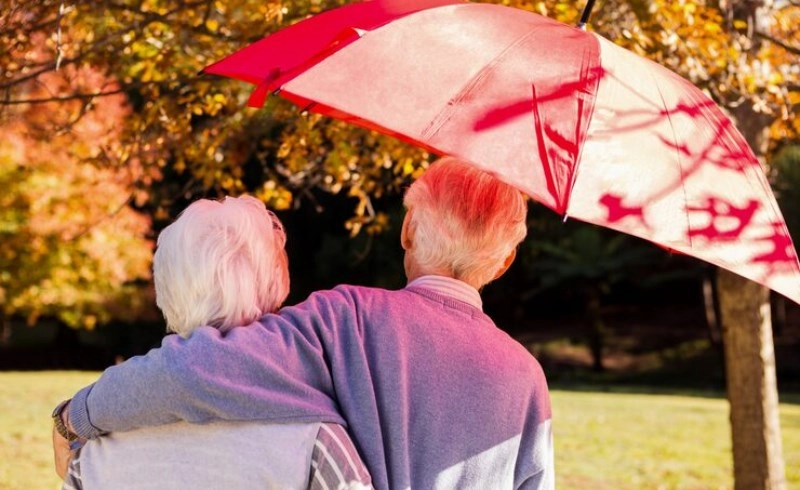 재물운 좋은 일주 시상일위편재격 특징 및 말년에 거액을 상속받는 부자 사주의 비밀 6 재물운 좋은 일주 시상일위편재격 특징 및 말년에 거액을 상속받는 부자 사주의 비밀 5
