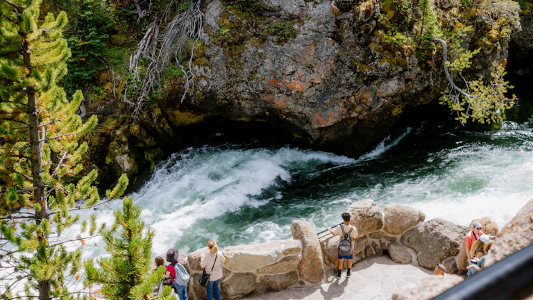 잘 자란 화분에 담긴 식물을 사려 깊게 바라보는 사람