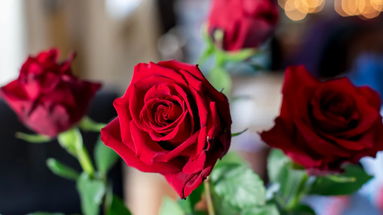 사주 재물운 잘 보는 곳 내 사주에 물(水)이 없을 때 나타나는 증상과 개운법 2 푸른색과 검은색 소품으로 꾸며진 세련된 실내와 작은 물 장식