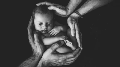 태어난 순간부터 결정된 인생 난이도와 부자 되는 비결 1